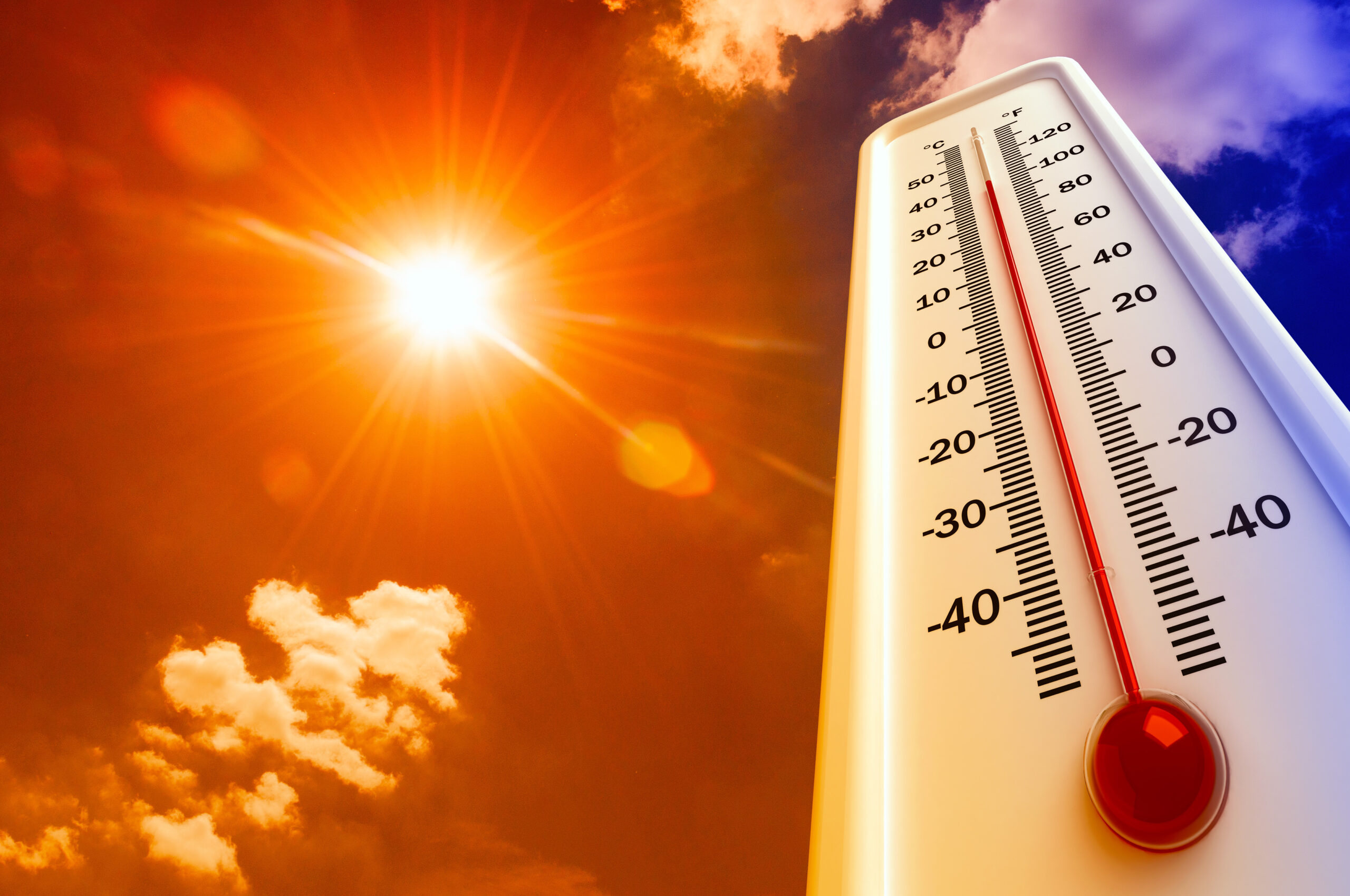 Cos’è davvero un’ondata di calore